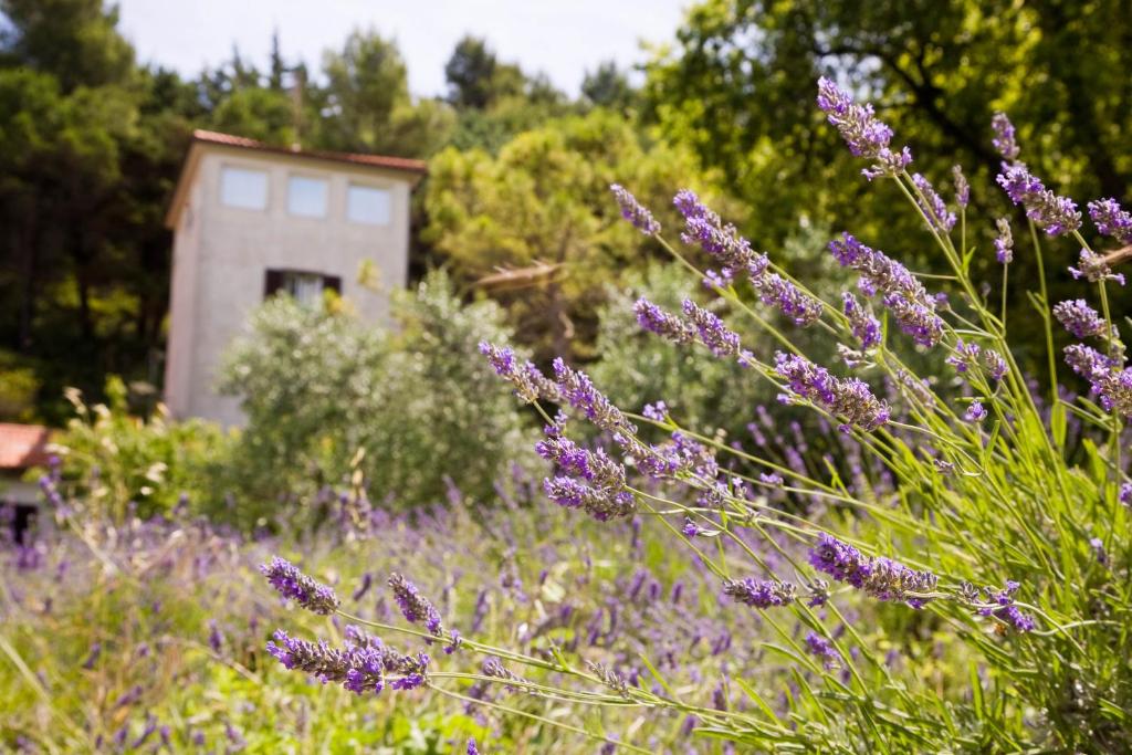 Zahrada ubytování B&B La Torre del Poggio