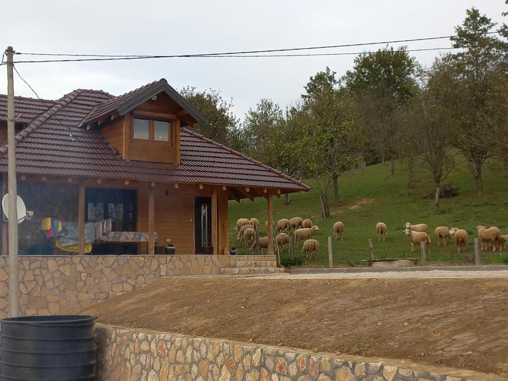 Budova, kde se prázdninový dům nachází