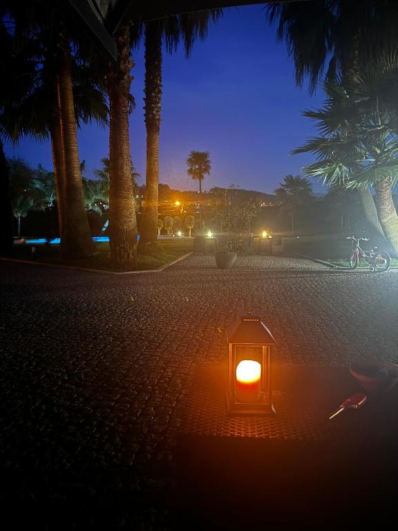 a lantern on a sidewalk with palm trees at night at Quinta Das Palmeiras in Valpedre