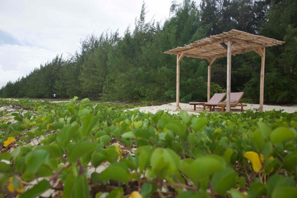 Zahrada ubytování Kivuli Beach Resort Paje