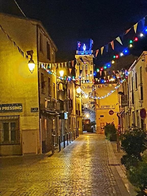 Une rue vide la nuit avec des feux de Noël dans l'établissement Le Petit Méditerranéen, à Pérols