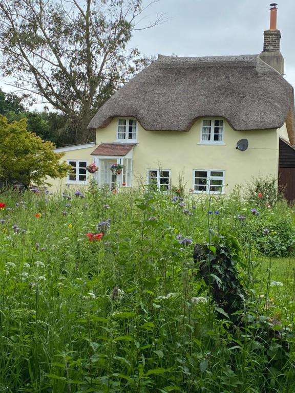 ein Haus mit einem Blumenfeld davor in der Unterkunft Primrose Cottage in Moreton