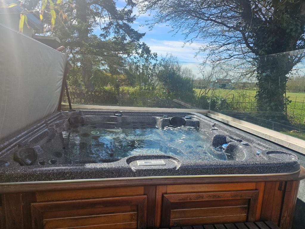 Lispapple Cross RoadsにあるContemporary Dublin Suite with Hot Tubのジャグジー一般公式公式