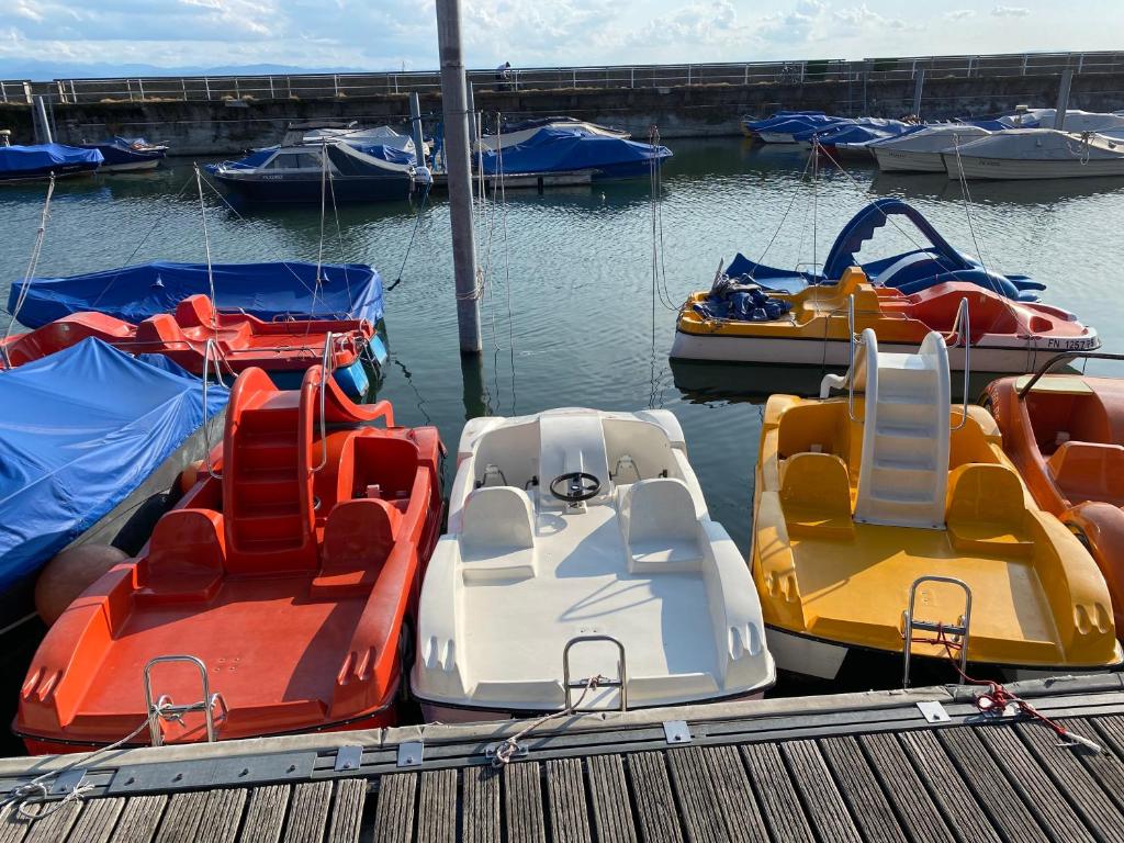 EntdeckerFERIEN am Bodensee - 5