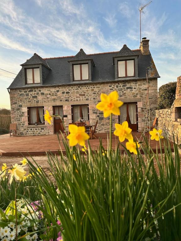 une maison en pierre avec des fleurs jaunes devant elle dans l'établissement La maison du Distillateur, à Plurien