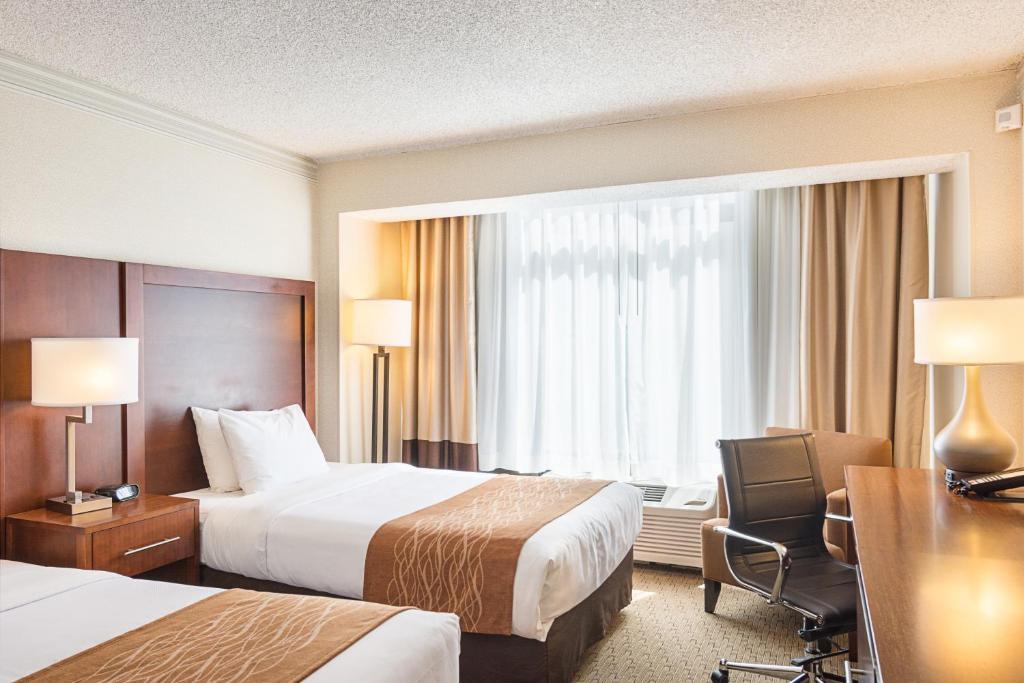 Comfort Inn By the Bay - Standard Twin Room - Non-Smoking