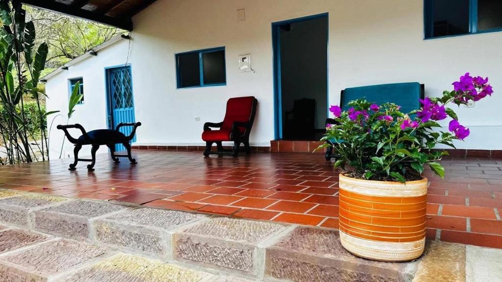a patio with two chairs and a cat and flowers at Cabaña Alcalá Campestre in Pinchote