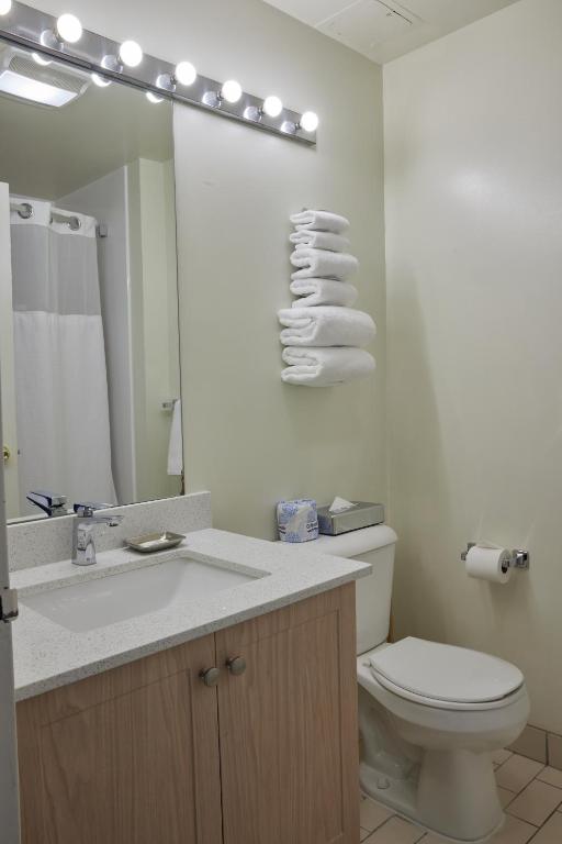 a bathroom with a toilet and a sink and a mirror at The Business Inn in Ottawa