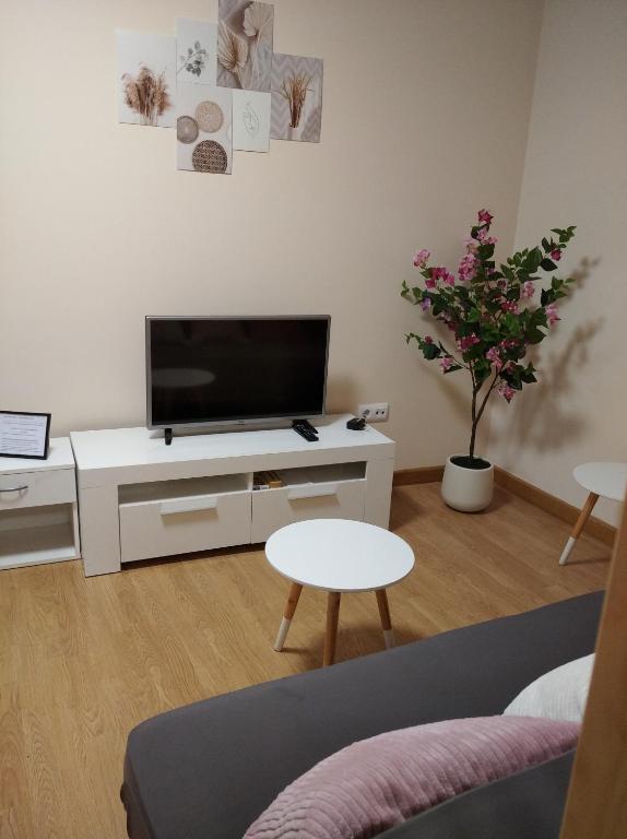 Castelao Apartments - 13