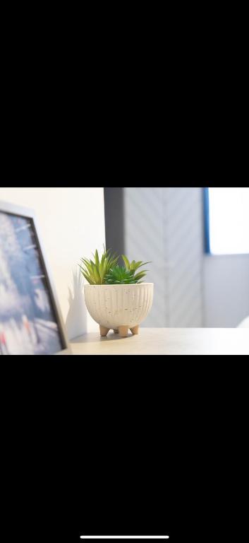Fotografie z fotogalerie ubytování Warwick Studio Spaces v destinaci Carlisle