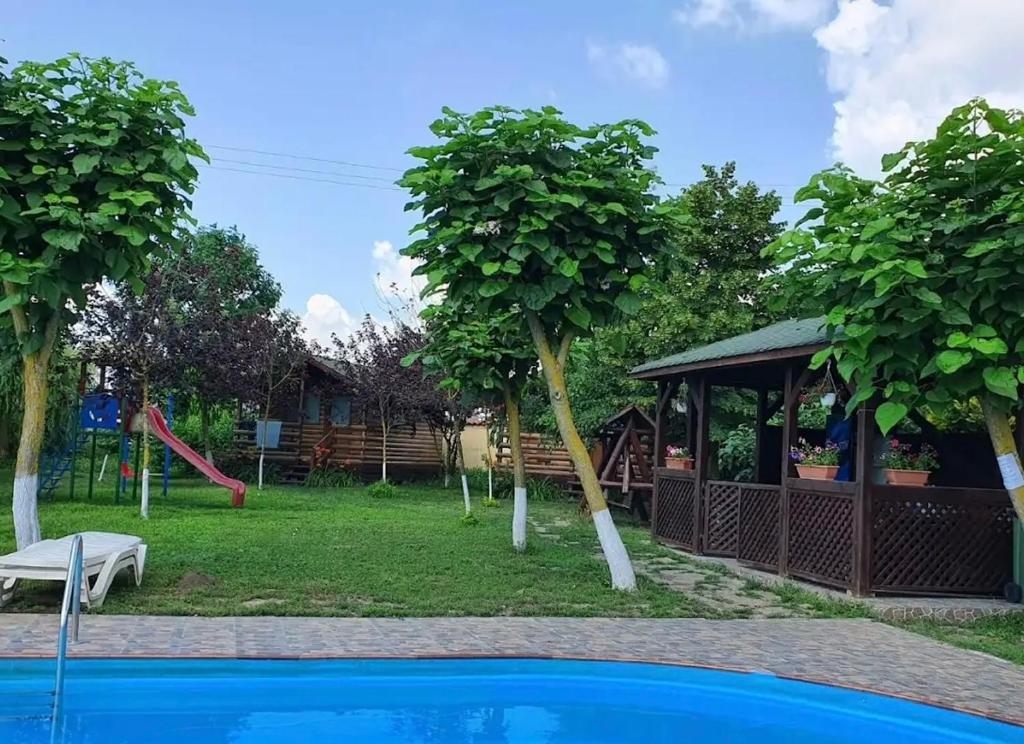 a view of a yard with a playground at Salcia Pletoasa in Mahmudia