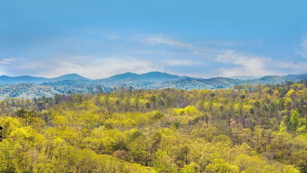 an overview of a forest with mountains in the background at Wild Honey in Sevierville