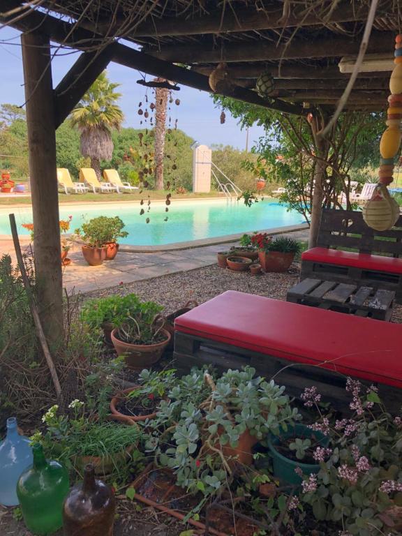 a pool with a red bench and plants in a yard at Monte Novo da Longueira Turismo Rural in Longueira