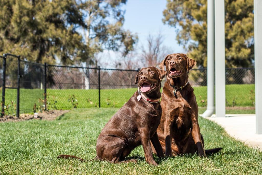 Abode Narrabundah - Resim 22