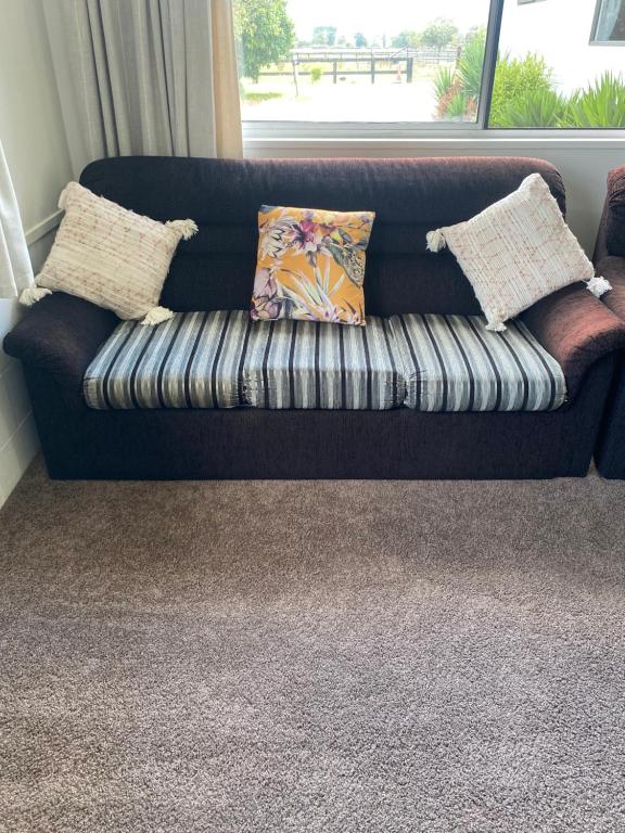 Horseinaround - Resim 13