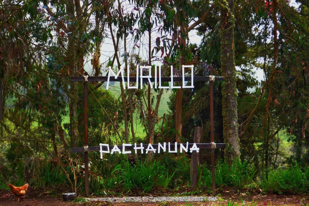 Fotografie z fotogalerie ubytování Hostal Pachanuna v destinaci Murillo