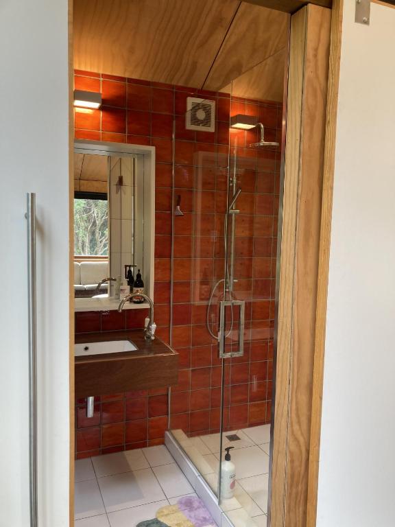 Treetop Studio - Resim 3