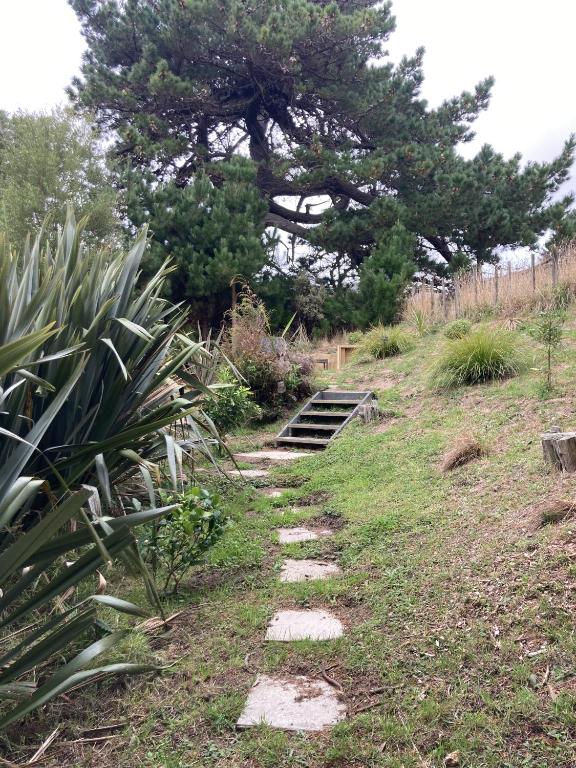 Treetop Studio - Resim 10