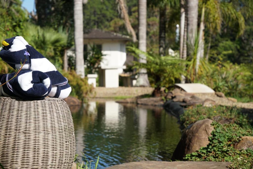 Avalon Resort - Resim 36