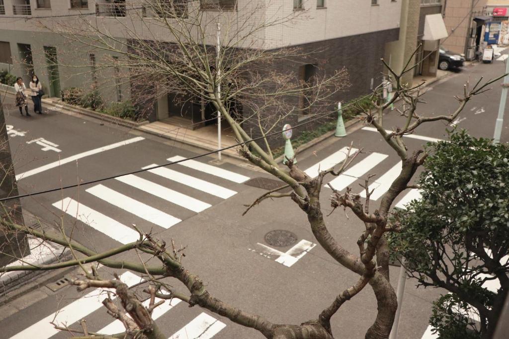 旅館があるエリアまたは近くにあるエリア