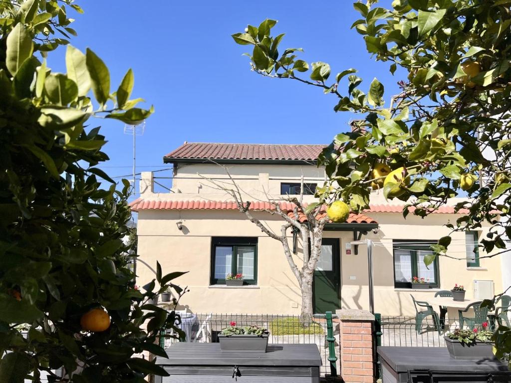 an orange tree in front of a building at La Casuca de Orejo - Monabri in Orejo