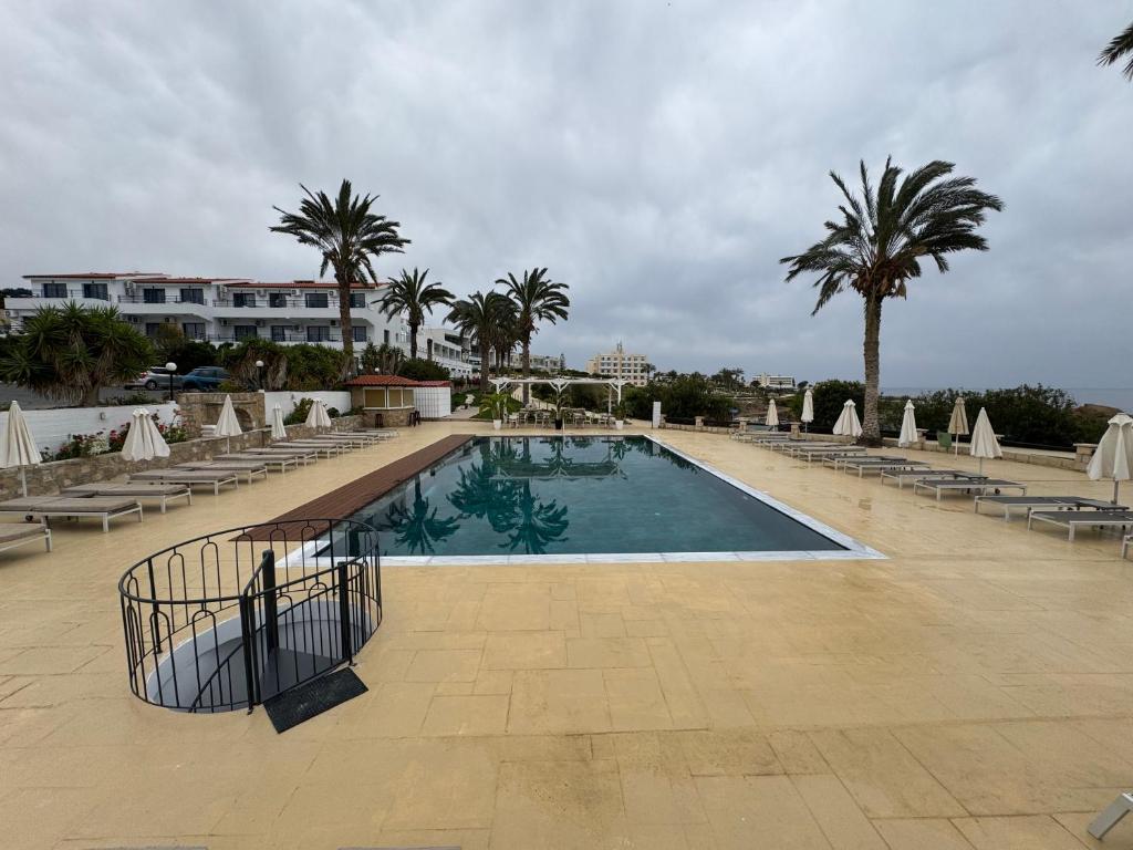 a large swimming pool with chairs and palm trees at Vrachia Beach Hotel & Suites - Adults Only in Paphos