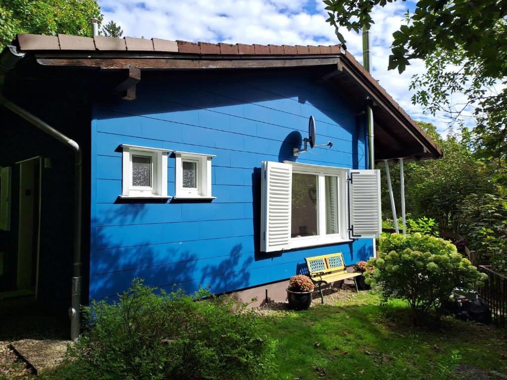 a blue house with two windows and a bench at Platell Ferienhausverwaltung Sankt Andreasberg in Sankt Andreasberg
