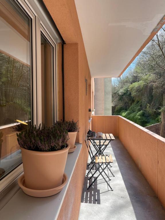 NEW renovated 2BR City Apartment 3