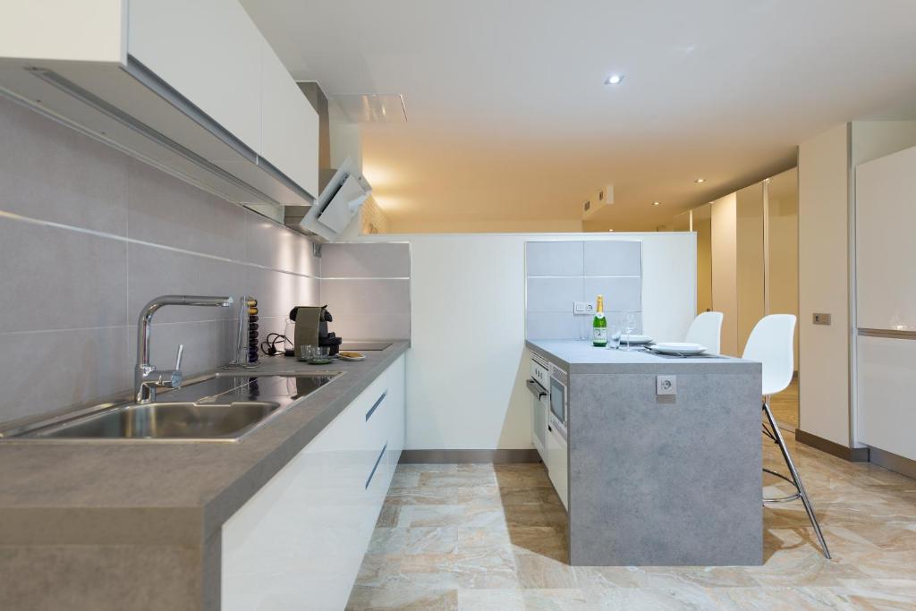 Kuchyň nebo kuchyňský kout v ubytování Suites Garden Loft Picasso