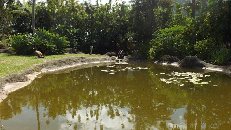 Paesaggio naturale nelle vicinanze dell'affittacamere