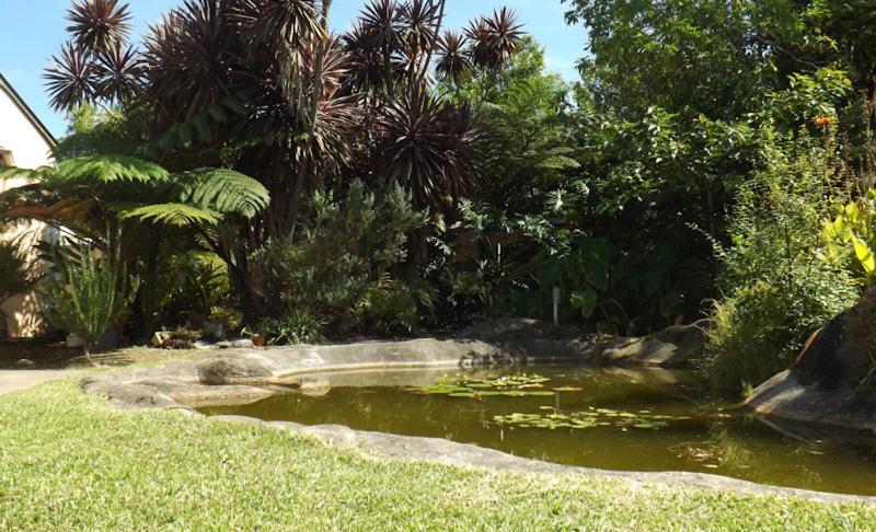 Giardino di Tsitsikamma Mountain View Lodge