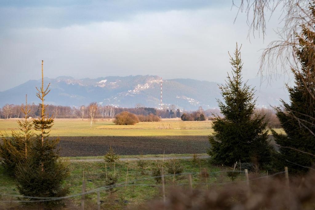 Příroda nedaleko apartmánu