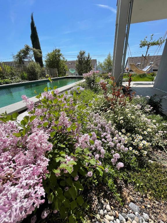 a garden with pink flowers in a yard at SeeZeichen-Apartment No 26 in Bodman-Ludwigshafen