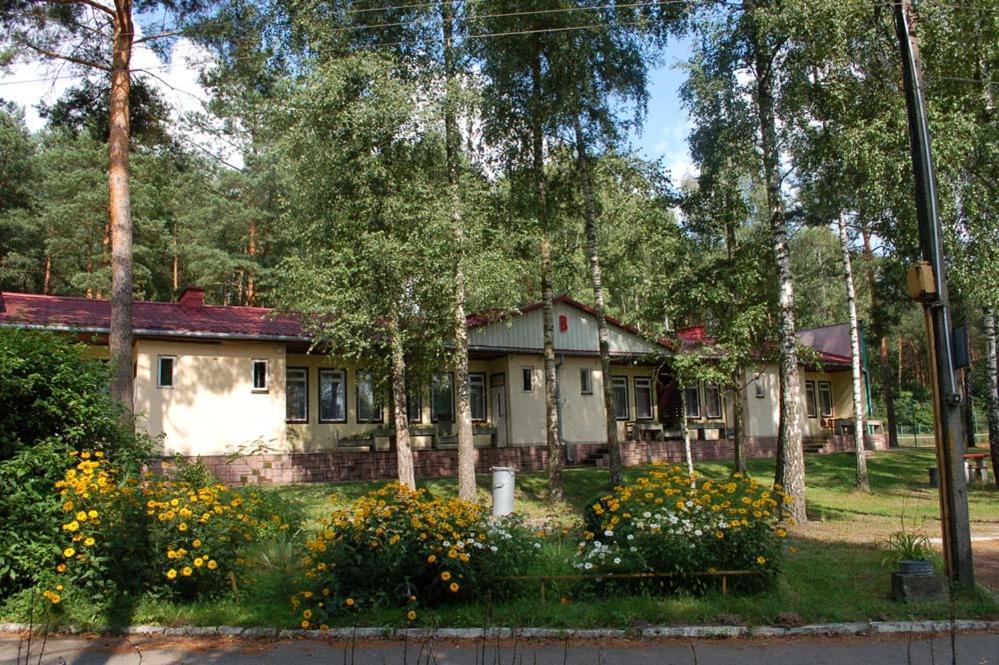 Zahrada ubytování Leśna Osada Tęcza Jabłonowiec