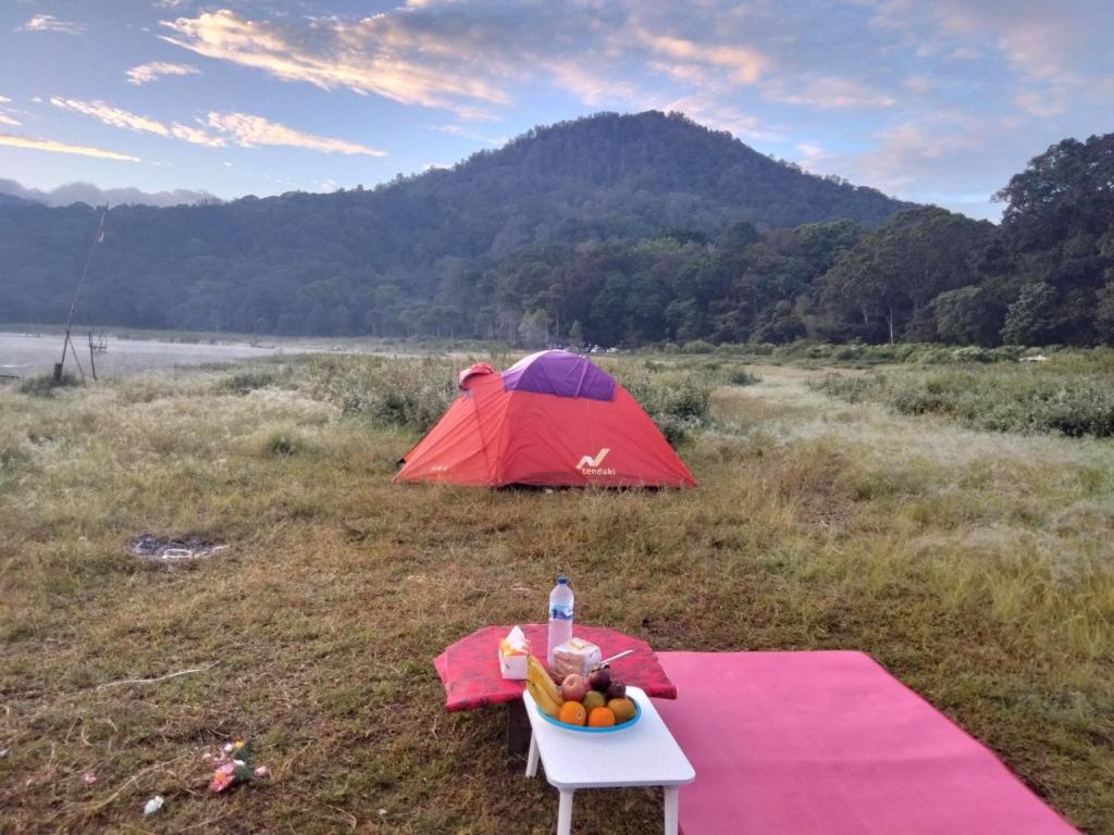 a red tent in a field with a table with a bowl of fruit at 3 days jungle trekking adventure tour and camping in Munduk