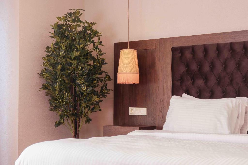 a bedroom with a bed and a potted plant at Phellos Suites Boutique Hotel in Şile