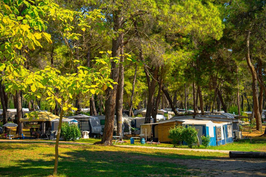 camping führer Camping Reiseführer main image 1