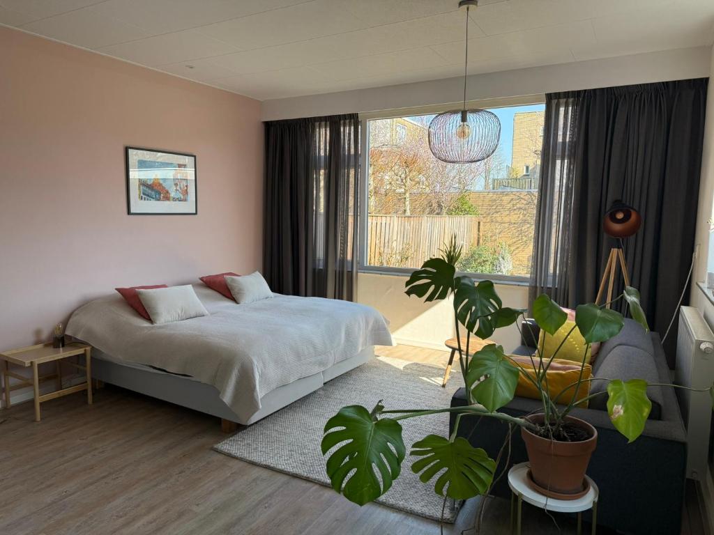 a bedroom with a bed and a potted plant at Studio Brinkstraat in Hoogeveen