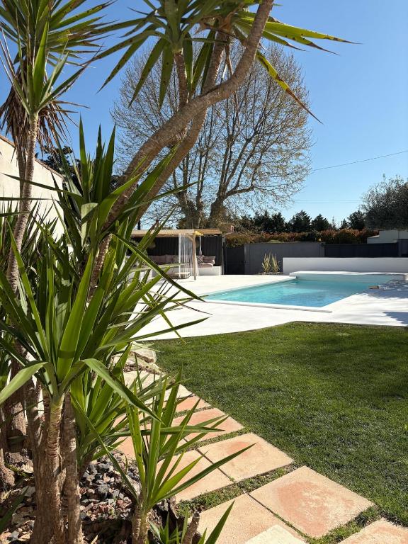une cour avec une piscine et des palmiers dans l'établissement Maison de standing proche de la mer, à Aimargues