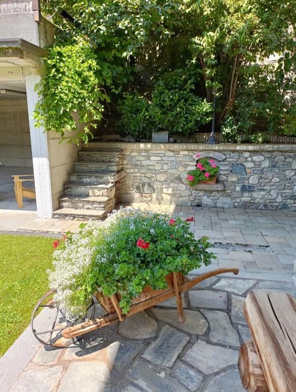 Zahrada ubytování La Sarrolein CIR 0009