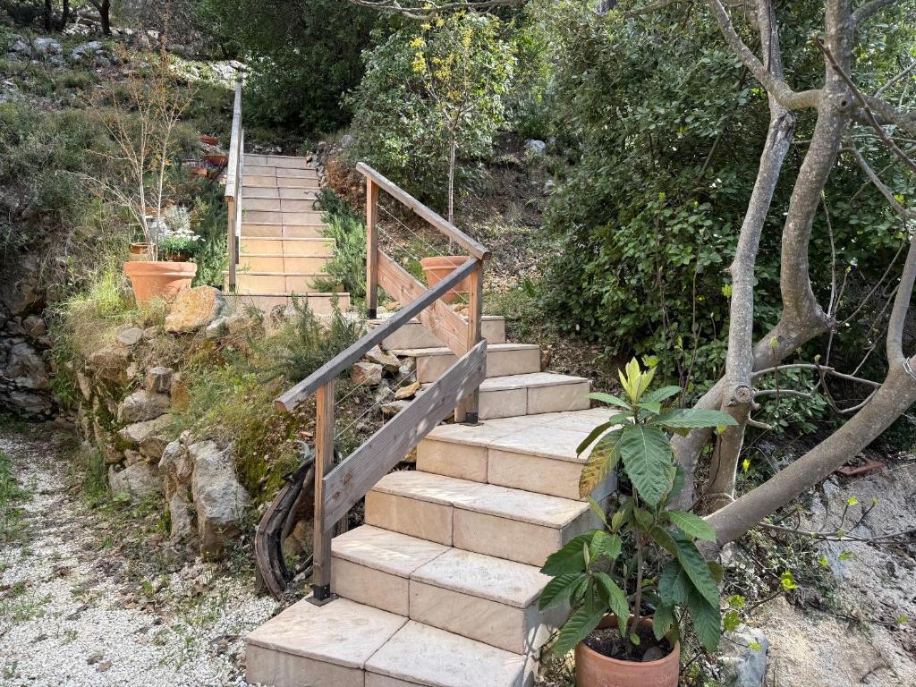 a set of stairs in a garden with plants at B&B Les Têtes de Mules - Adults Only in Gémenos