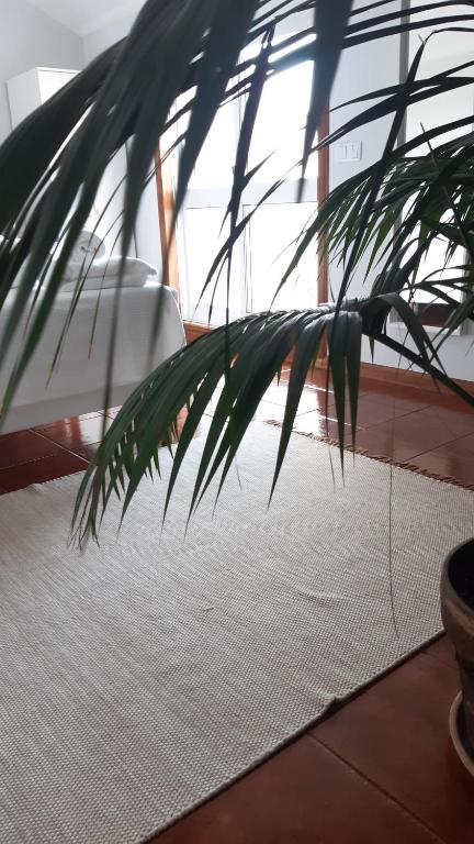 SUN & SAND GUESTHOUSE - 6