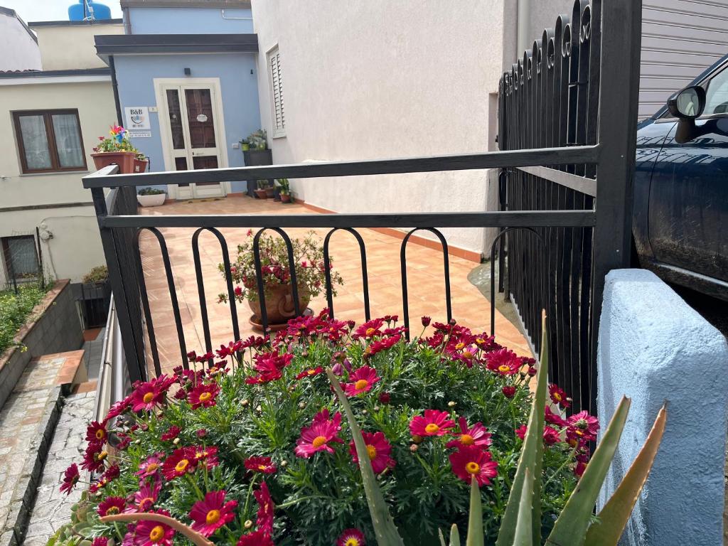 Balkón nebo terasa v ubytování B&b Niu Susu