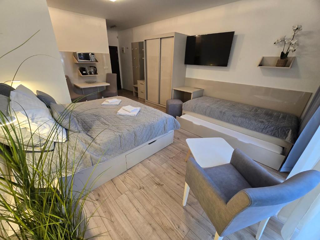 Televízia a/alebo spoločenská miestnosť v ubytovaní Apartmán ELIZABETH