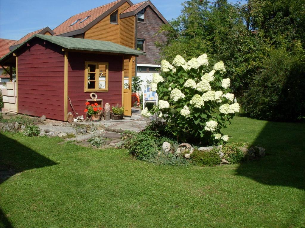 Zahrada ubytování Ferienwohnung Wollmeister