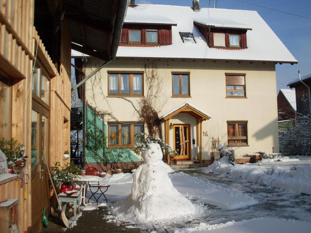 Ferienwohnung Wollmeister v zimě