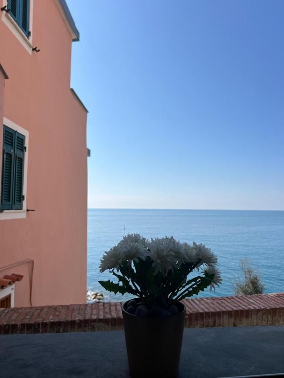 a plant in a pot on a balcony with the ocean at Vibes 5terre in Riomaggiore