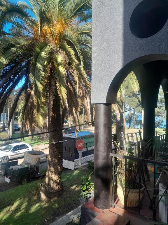 la milonga في أتلانتيدا: نخلة أمام مبنى عليه علامة توقف