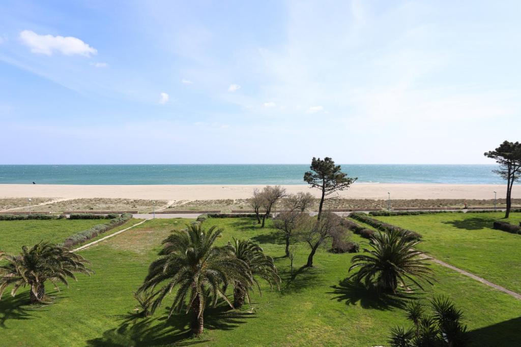 une vue sur une plage avec des palmiers et l'océan dans l'établissement Magnifique vue mer Appart les pied dans l eau St Cyprien, à Saint-Cyprien