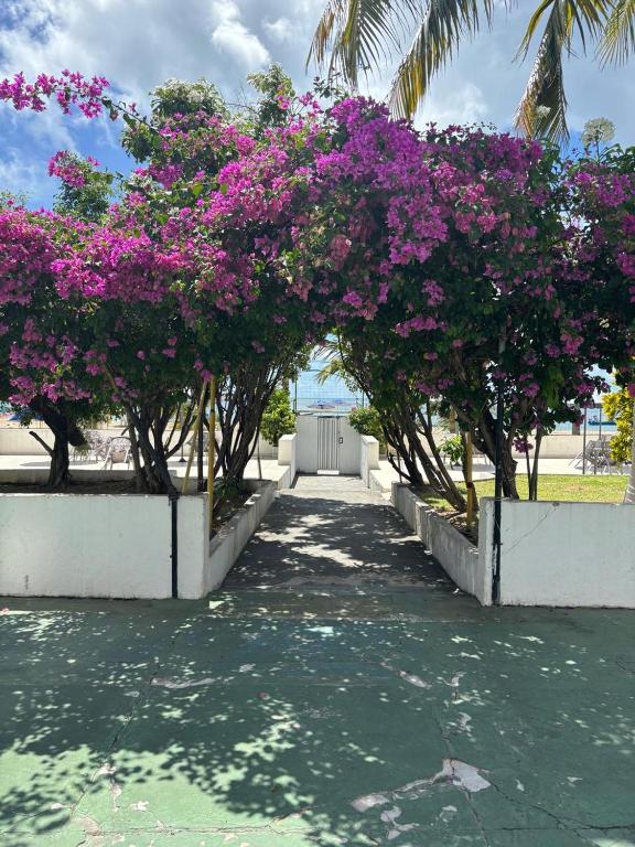 Apto 3 quartos pé na areia Prox de Recife